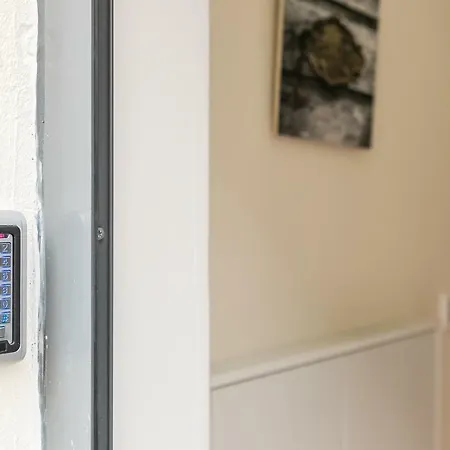 A Francos Painting Artist 2